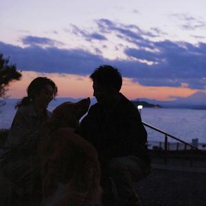 一级A片不卡在线观看
