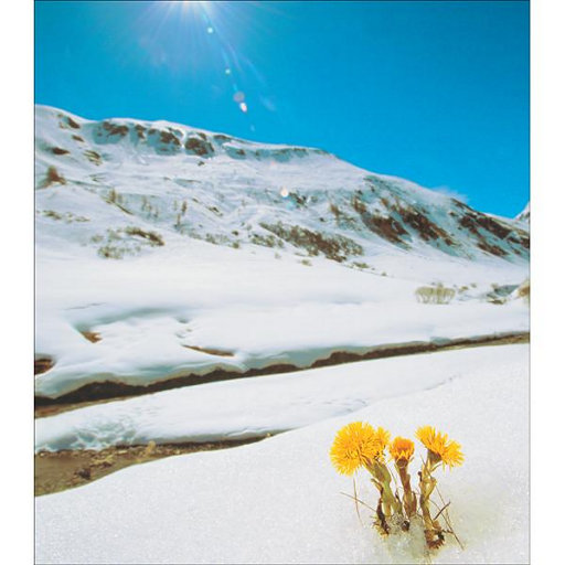 一级A片不卡在线观看
